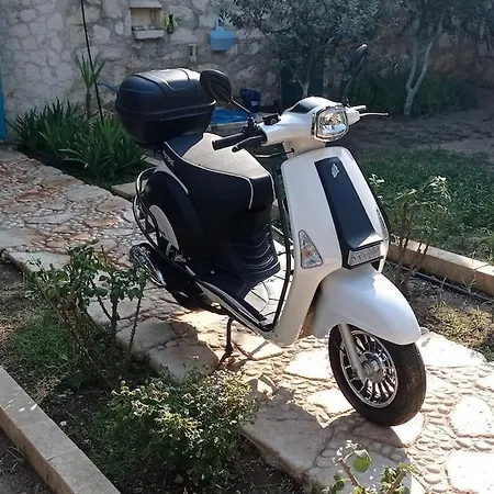 בית הארחה Orion פיניקה