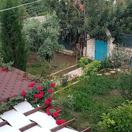 Orion 3* فينيقيه